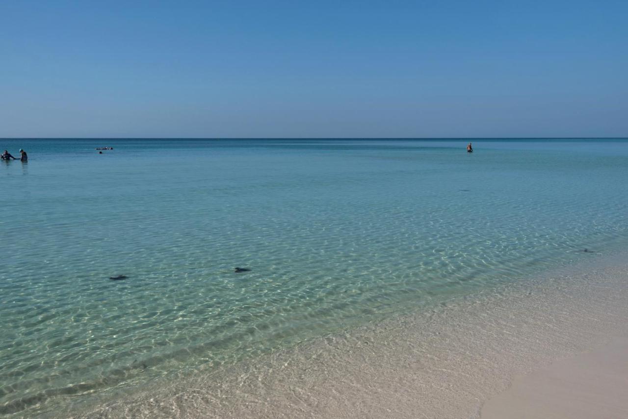 Majestic Sun 1012A Appartement Destin Buitenkant foto